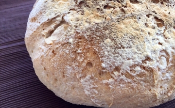 Rusztikus kenyér Mester házi kenyérlisztből