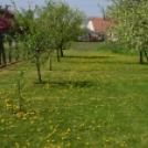 Szanyi tavasz 2014