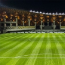 A Puskás Akadémia felcsúti stadionja, a Pancho Aréna
