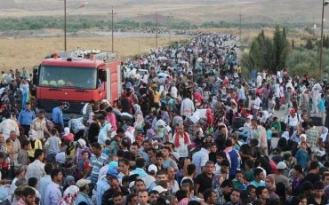 Illegális bevándorlás - Csaknem háromezer határsértőt tartóztattak fel Csongrádban