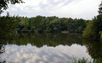 A természet kincsestára a Rábaközben