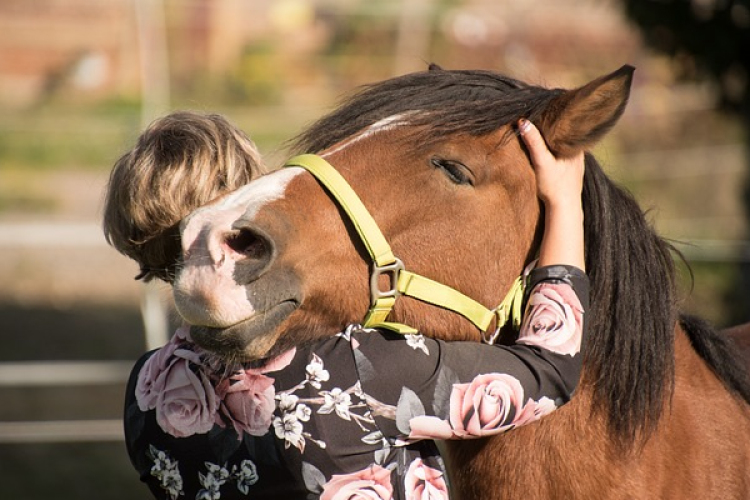 Nyári lovastábor Göbös-majorban