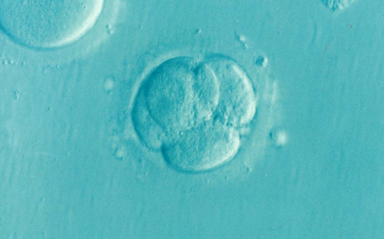 Rekordot jelentő 24 év után született egészség gyermek lefagyasztott embrióból 