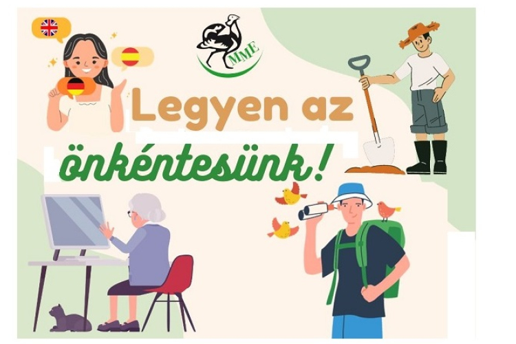 Önkénteseket toboroz a Magyar Madártani Egyesület