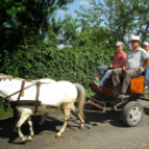 Lovastalálkozó Győrsövényházon