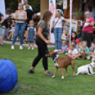 Falunap Vág Községben. (2025. 09. 13.)