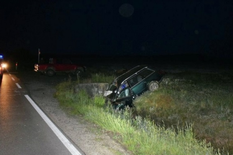Szarvas ugrott egy autó elé a 85-ös főúton