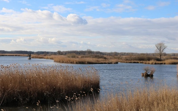 Őszi-téli vezetett túrák a Fertő-Hanság Nemzeti Parkban