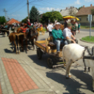 Lovastalálkozó Győrsövényházon