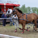 Fogathajtó verseny Bágyogszováton