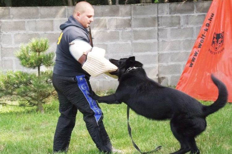 Buborékok - II. Kézilabdatábor Bősárkányban