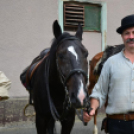 Lovastúra táncosokkal, szanyi előadással.