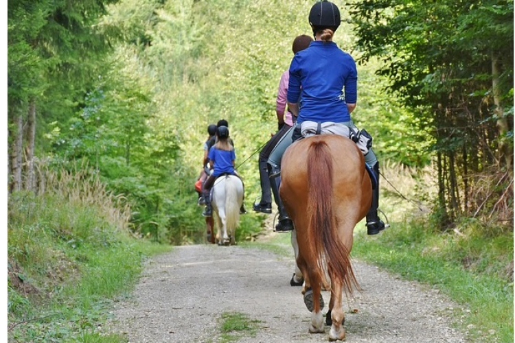 Erdei lovastábor gyerekeknek