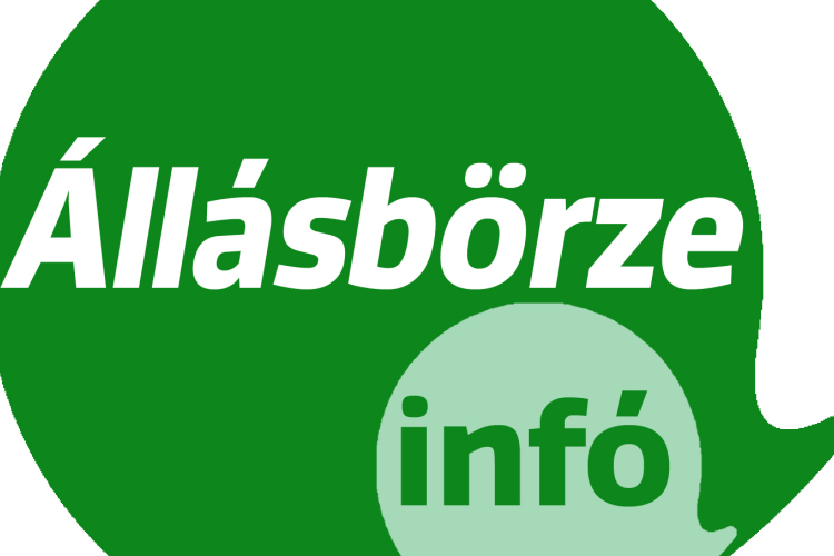 Állásbörze - Találj magadnak új munkahelyet!