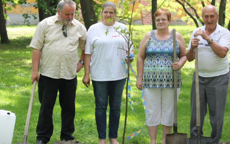 Ugrálóvár, faültetés, bográcsgulyás - majális volt Csornán