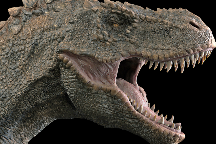 A dinoszauruszok is szenvedhettek rákban