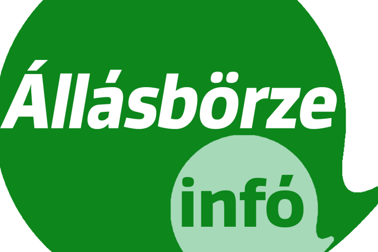 Állásbörze - a legfrissebb ajánlatok