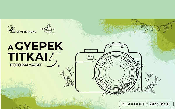 Gyepek titkai fotópályázat 2025