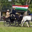 Árpási Fogathajtó Verseny