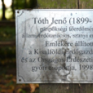 Őszi koncert az erdő tiszteletére – a zene világnapján Szanyban