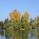 Szanyi ősz