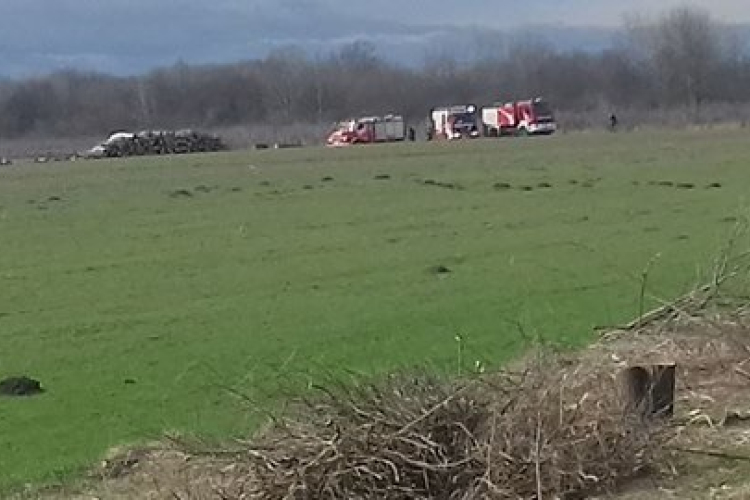 Négy hektáron égett az erdő Győrsövényházon