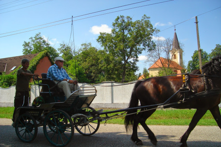 Lovastalálkozó Győrsövényházon