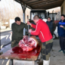 Sertést vágtak a Szany SE. labdarúgói