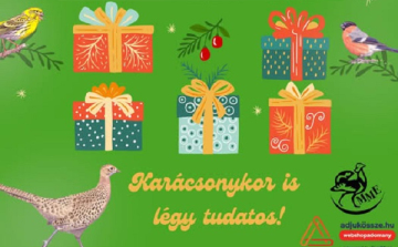 Ajándékozz szívből – és adj a természetnek is! 