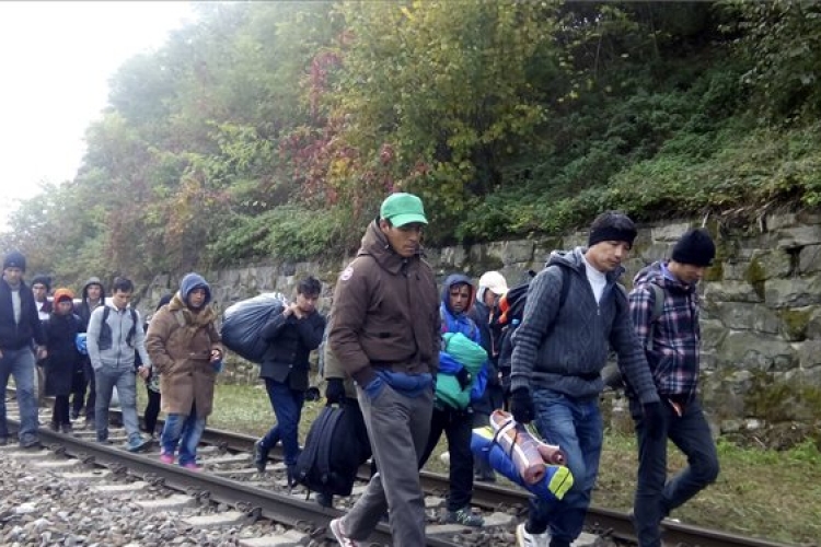 Illegális bevándorlás - Továbbra is kaotikus a helyzet a szlovén-osztrák határon