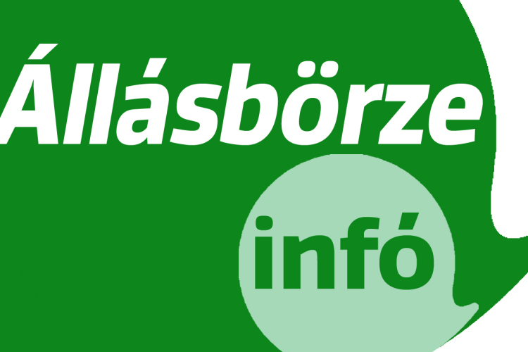 Heti állásajánlatok a Szuperinfóból