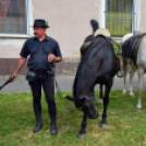 Lovastúra táncosokkal, szanyi előadással.