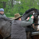 Fogathajtó verseny Bágyogszováton