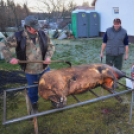 Hagyományőrző disznóölés Vásárosfalun