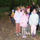 Őszi koncert az erdő tiszteletére – a zene világnapján Szanyban
