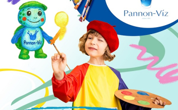 Csövi teknős barátokat keres