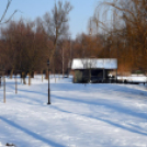 Szany Sárzó Park.