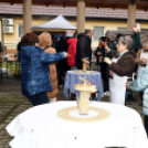 II. Falusi disznóvágás Szanyban.