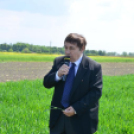 II. MAGOSZ Családi nap Szanyban