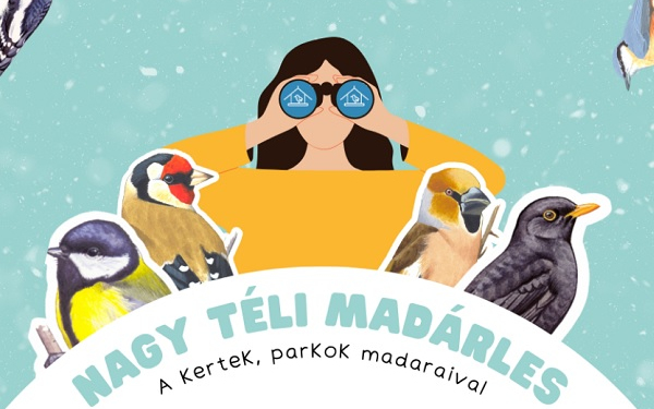 Nagy téli madárles