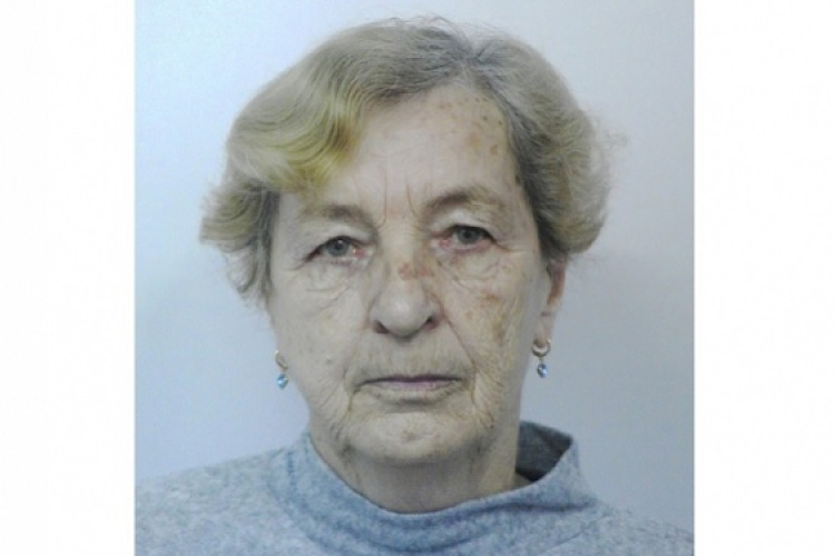 Visegrádról indult, de Győrbe már nem érkezett meg a rábapatonai hölgy