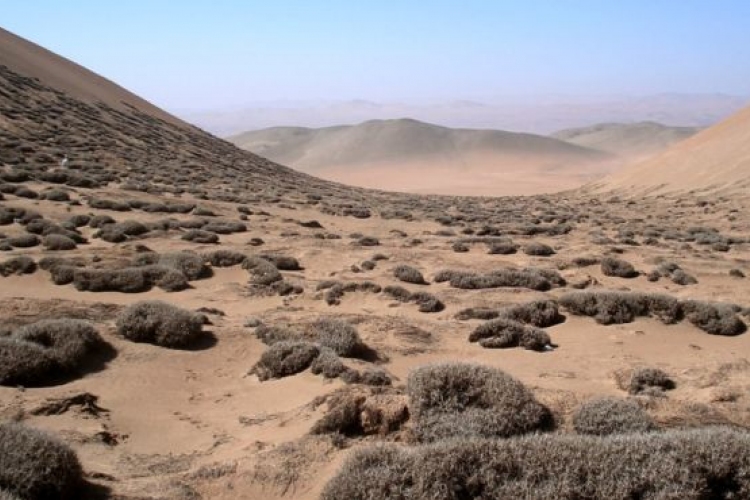 Felderítették az Atacama-sivatag ködének 3500 éves történetét