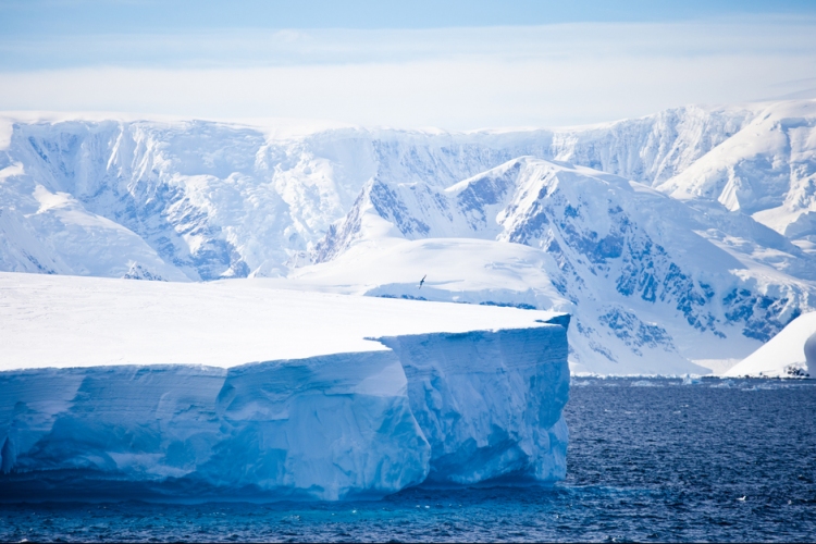 Már öt kilométerre távolodott az Antarktisz-félszigettől a levált hatalmas jégtömb