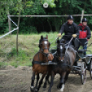 Fogathajtó verseny Bágyogszováton