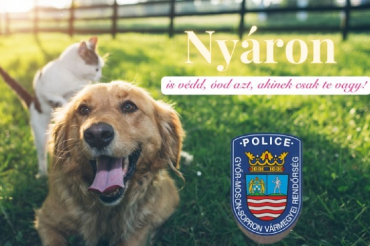 Nyáron is védd!