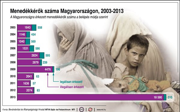 Végh Zsuzsanna: tömegesen érkeznek a menedékjogi kérelmek