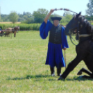 VII. Győrsövényházi Lovas Találkozó 