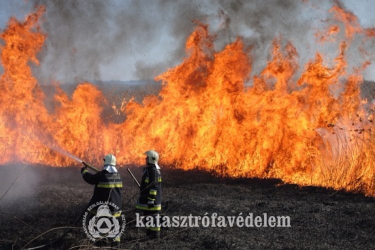 Csütörtök éjfél óta tűzgyújtási tilalom van érvényben az egész országban