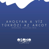 Színházi előadás - Ahogyan a víz tükrözi az arcot