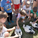 Gólya fesztivál Szanyban. (2024. 06. 15.)